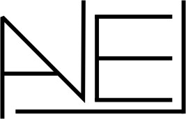 logo ANEL Andrzej Sokolik